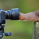 Image for article titled Nod approvingly at this squirrel stocking up on the essentials, then carry on with your day